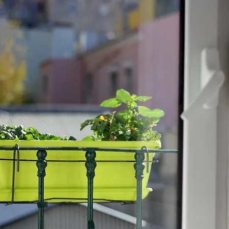 Apartman Wanderlust Liberdade *